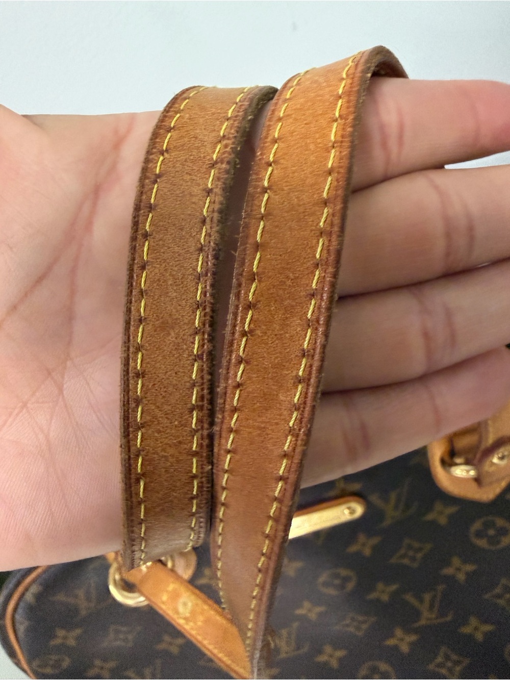 Louis Vuitton Brown Montorgueil GM - Picture 7 of 9